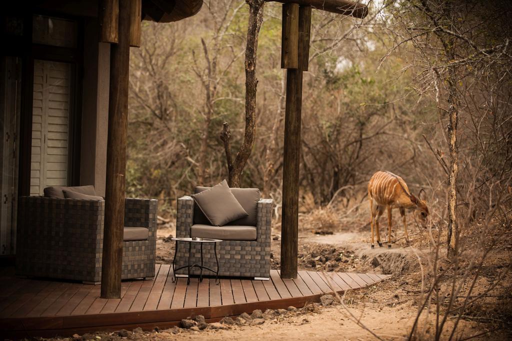 Moditlo River Lodge Hoedspruit Exteriér fotografie