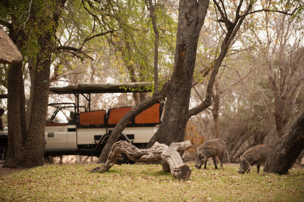 Moditlo River Lodge Hoedspruit Exteriér fotografie